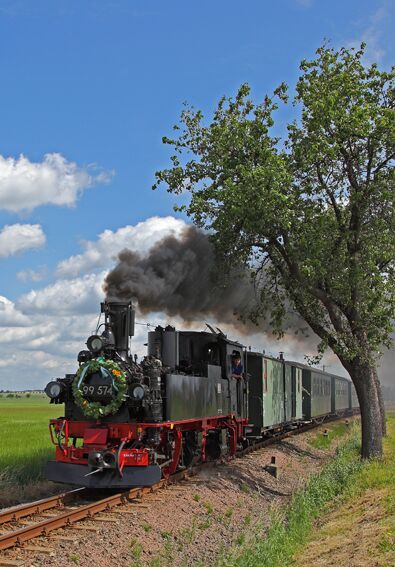 Die Schmalspurbahn "Wilder Robert" (Foto: Archiv Döllnitzbahn Sven Geist)